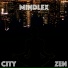 Mindlex