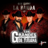 Los Grandes De Tijuana