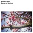 Mindscape