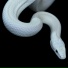 Garçons