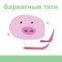 piglet booklet