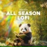 Panda Study, Panda Lofi, Panda Music