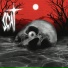 Scat