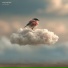 Wind Up Bird