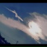 Amura