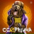 Антон DAS