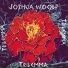 Joshua Woolf