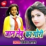 Dk Bulbul