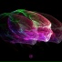 Modem, Julian Wassermann, Raphael Mader, Betical