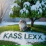 Kass Lexx