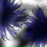 Winternetti