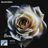 Gloxinia