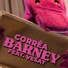 Corrêa OG, Vesat