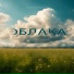 Alexsteady