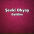 Şevki Okyay