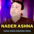 Nader Ashna