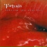 Tortuga