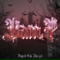 YNGXIP feat. Sheyzl