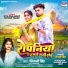Shivani Singh