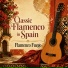 Flamenco Fuego