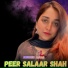 Peer Salaar Shah