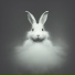 Rabit323