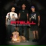 TerrorDosBeats, Bruxo 021, PJ HOUDINI