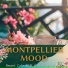 Montpellier Mood
