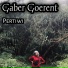 Pertiwi