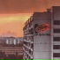 Кодла