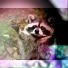 Lenonxz
