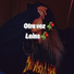 Leins