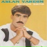 Aslan Yardım