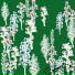 Grapes20