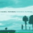 Daniel Feinberg