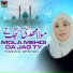 Farwa Afshan