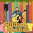 Rabbi B