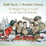 Steffi Denk, Flexible Friends