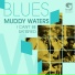 Muddy Waters