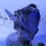 Jebby Jay