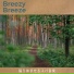 Breezy Breeze