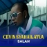 Cevin Syahailatua
