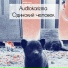 Audiokarizma