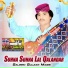 Saleem Gulzar Magsi