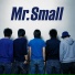 Mr. Small