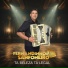 FERNANDINHO SANFONEIRO