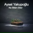 Aysel Yakupoğlu