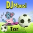 DJ Mausi