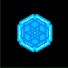 File Of Life