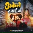 Pankaj Gupta, Shivani singh